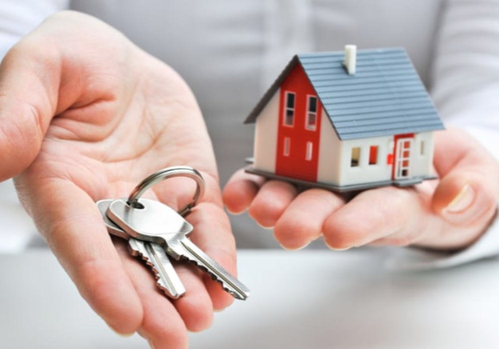 IREALTOR Management System
